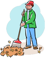Leaf Clean-up